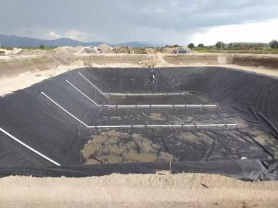 Geomembrana black dam liner HDPE para estanque de camarones 