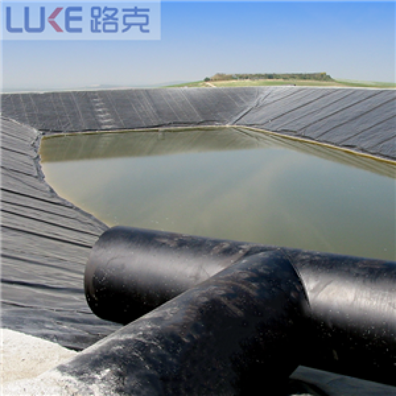 HDPE LDPE LLDPE Geomembrane Pond Liner Fish Shrimp Pond Dam Liner