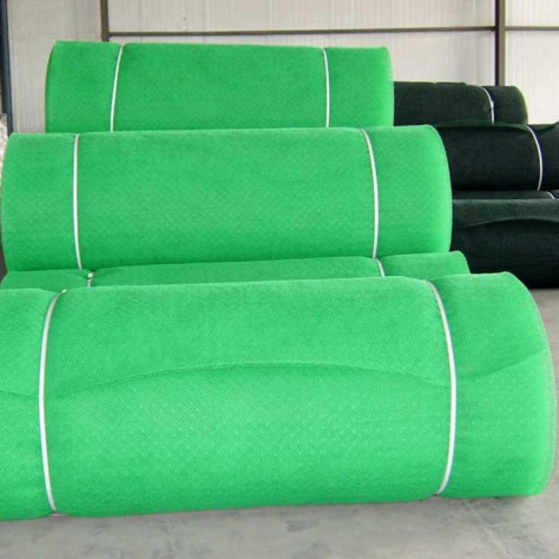 Reinforced 3D Geomat Erosion Control Mat for Soil Stabilization Slope Protection Geomat