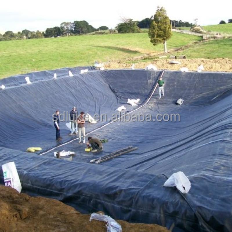 HDPE Geomembrane