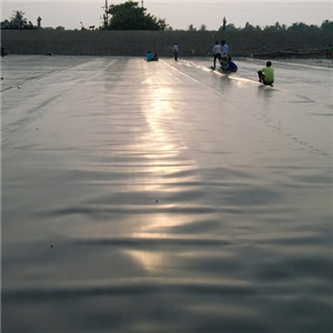 HDPE Pond Dam Liner.jpg