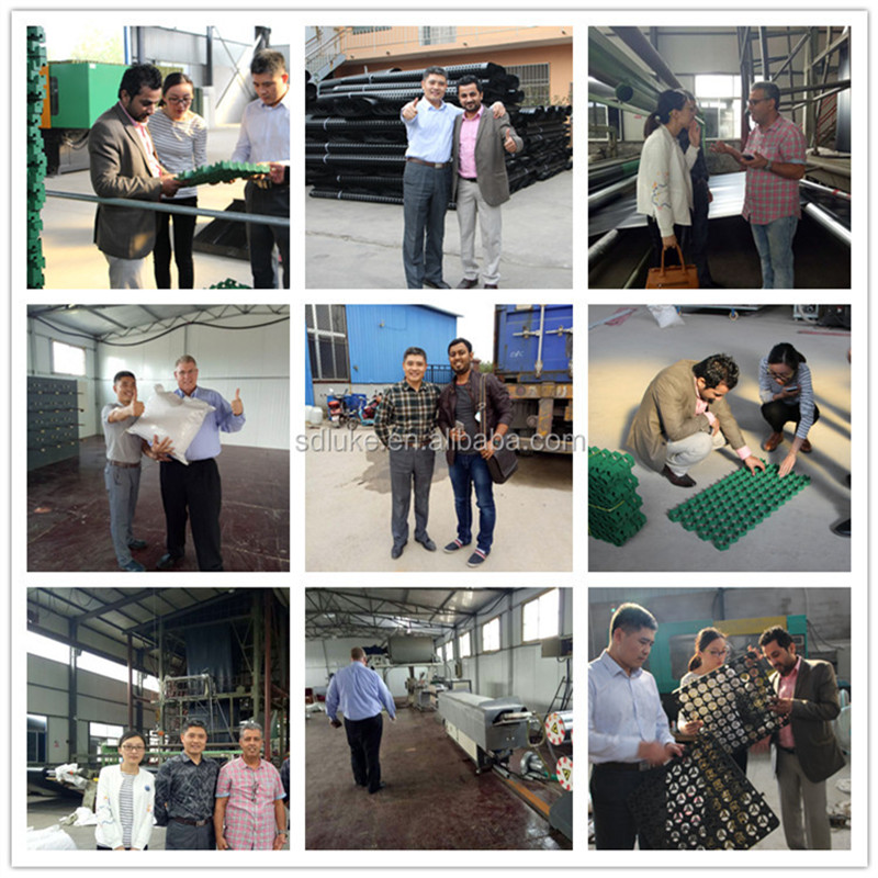 Fibra de malla de polipropileno para construcción.jpg Fibra de malla de polipropileno para construcción.jpg