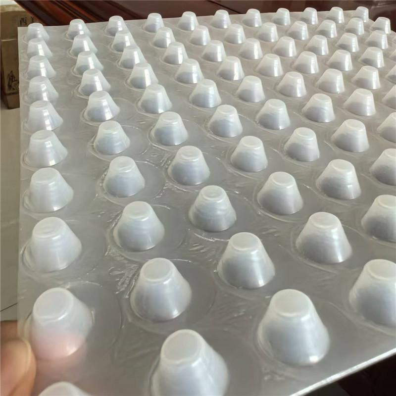 Tablero de drenaje con hoyuelos de HDPE para proyectos de construcción.jpg