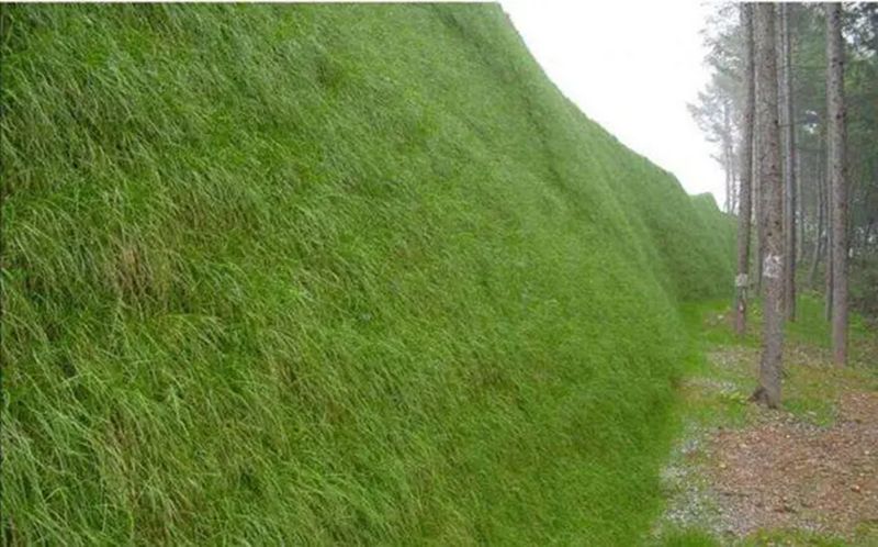 Aplicación de mantas de control de erosión 3D.png