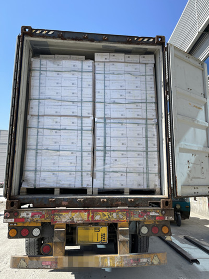 1744702819236191.jpg transporte2_copia.jpg