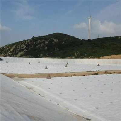 Geotextil de aguja de fibra cortada para mantenimiento de carreteras.jpg Geotextil de aguja de fibra cortada para mantenimiento de carreteras.jpg