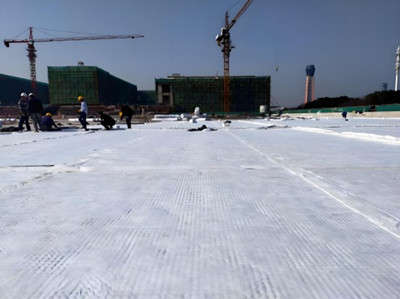 Panel de drenaje compuesto de HDPE.jpg Panel de drenaje compuesto de HDPE.jpg