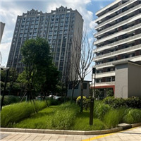 Recolección de agua de lluvia para comunidades residenciales.jpg