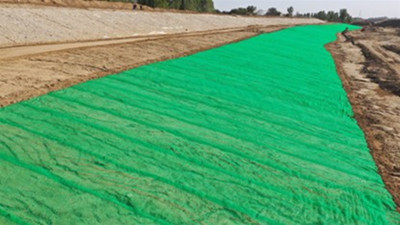 Matriz de vegetación 3D.jpg