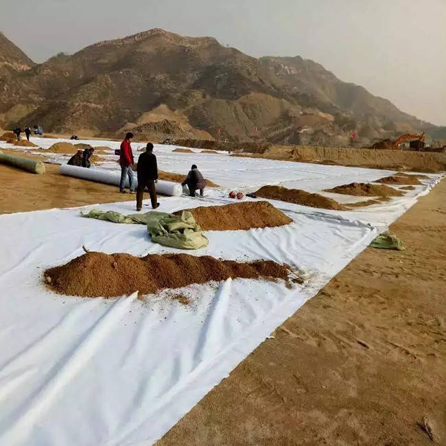 Geotextil punzonado con agujas para estabilización de suelos.jpeg