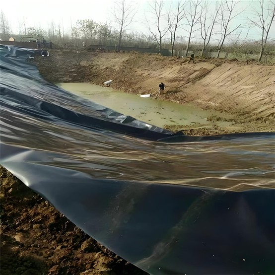 Revestimiento de HDPE para estanque.jpg Revestimiento de HDPE para estanque.jpg