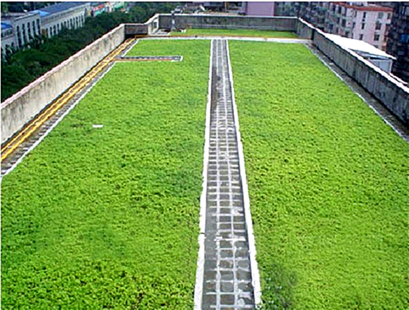 Drenaje con hoyuelos para jardín en azotea.jpg