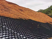 Geocelda para protección de taludes.jpg
