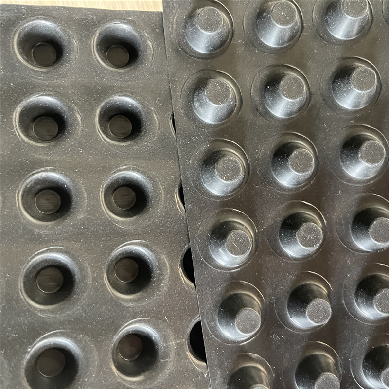 Tablero de drenaje de protección de HDPE para impermeabilización de cimientos.jpg