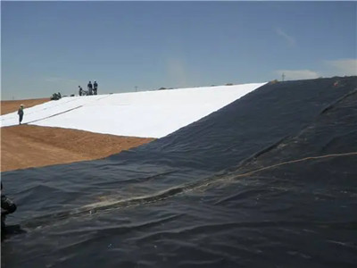 Revestimiento Impermeable de Geomembrana HDPE.jpg