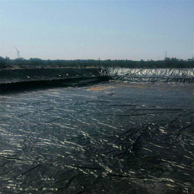 Revestimiento de Geomembrana de HDPE para Acuicultura de Camarones.jpg
