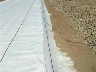 Precio del Geotextil para Carreteras.jpg