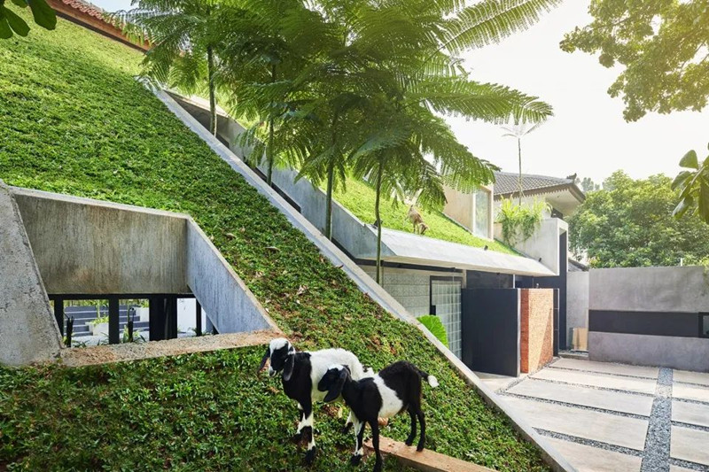 Lámina de Drenaje Compuesta para Jardines en Azoteas Verdes.jpg
