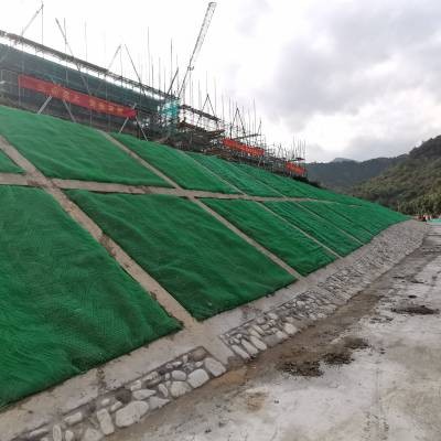 3D Geomat River Restoration .jpg
